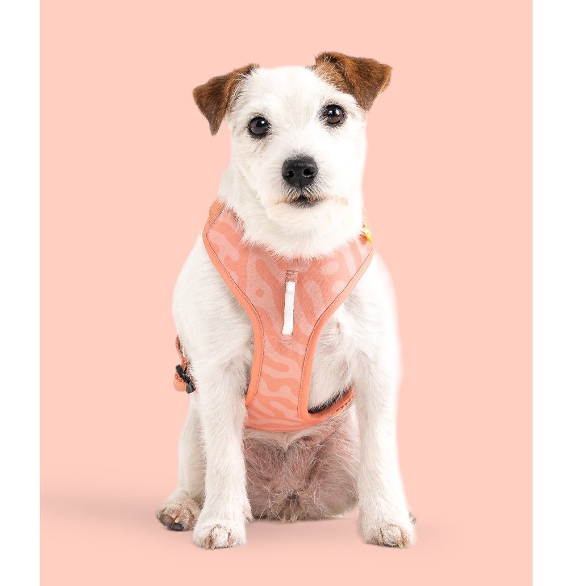 Woolly Wolf Roam Harness Salmon Pink Ripple