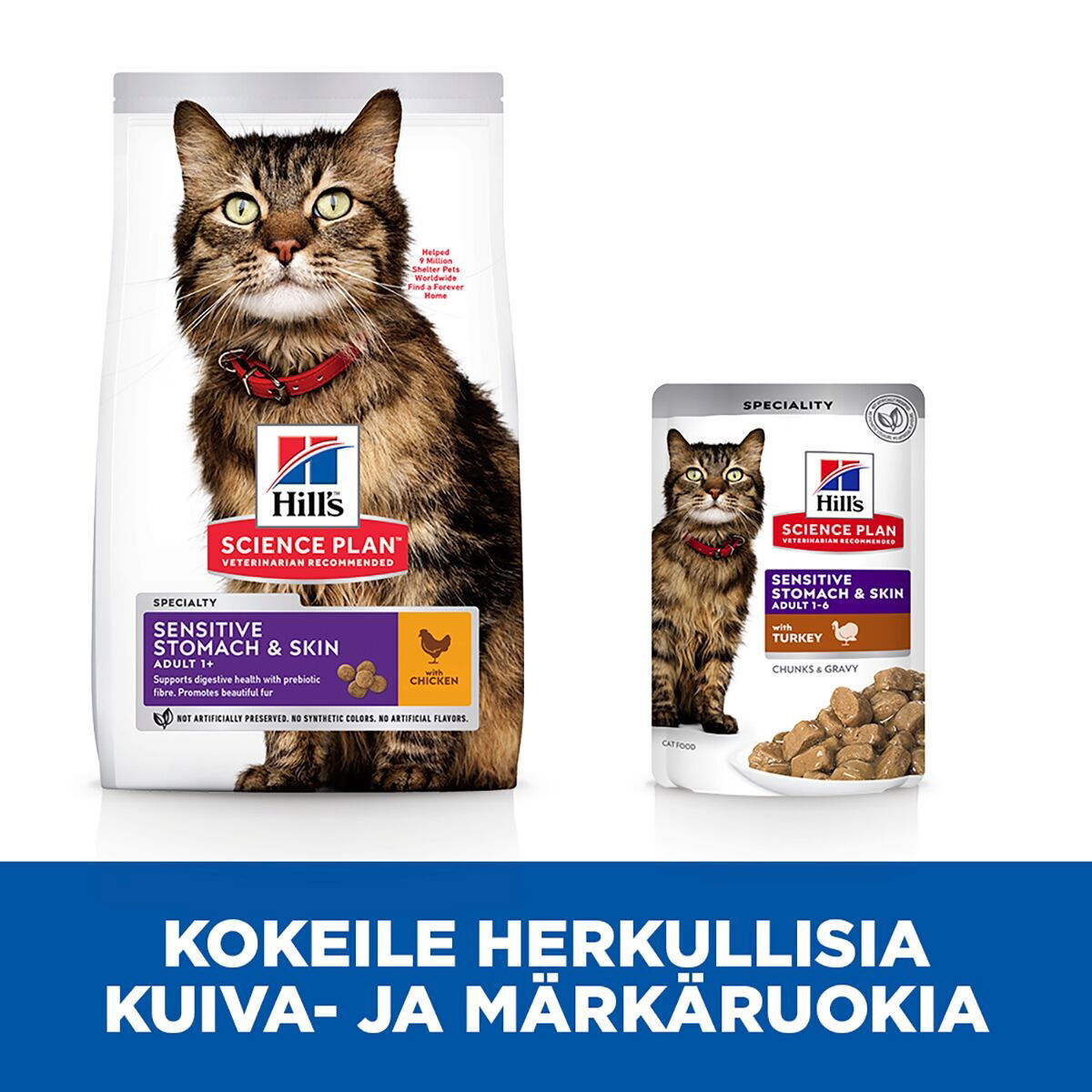 Hill's Science Plan Cat Adult Sensitive Stomach & Skin Turkey 12x85g