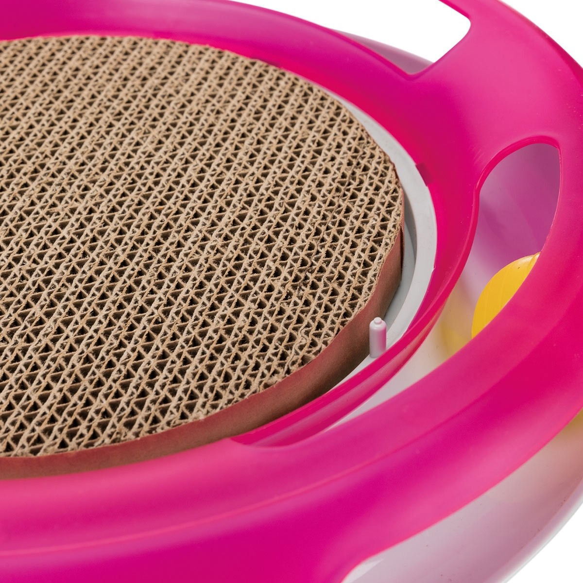 Aktivointilelu Trixie Race & Scratch