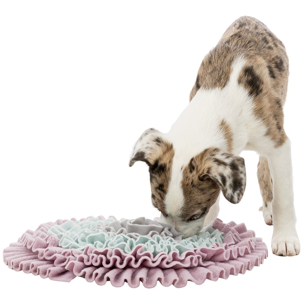 Aktivointimatto Trixie Sniffing Carpet Junior