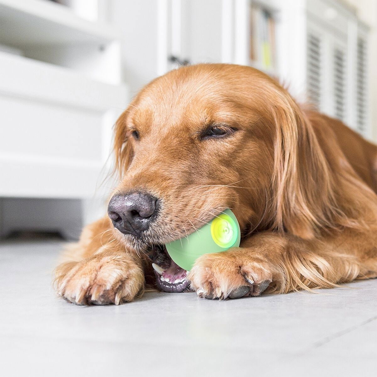 Cheerble Wicked Ball SE Blue