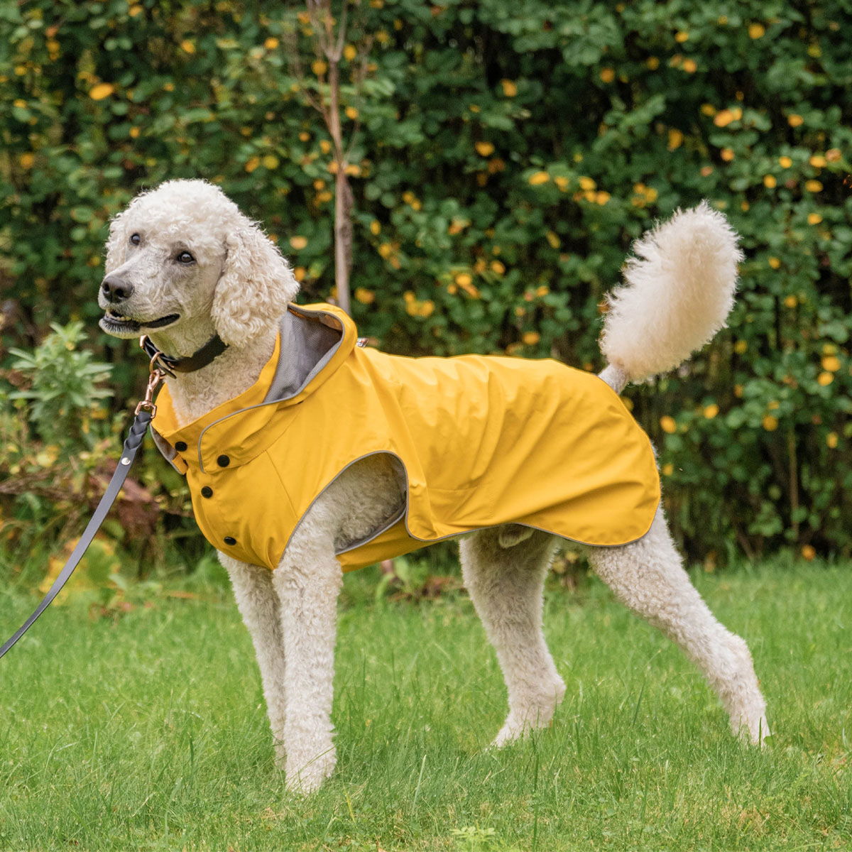 Rukka Stream sadetakki keltainen