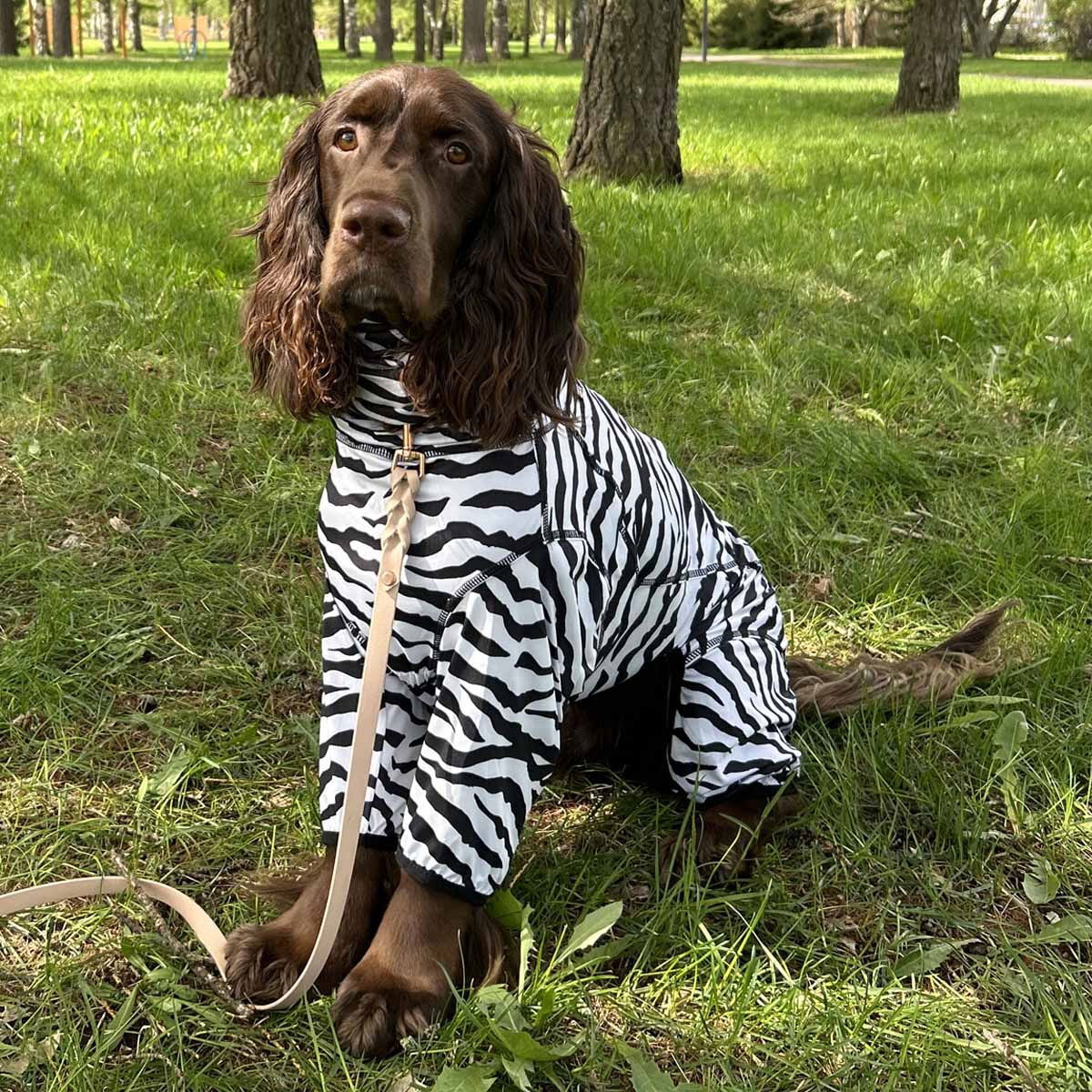 Rukka Zebra koiran haalari