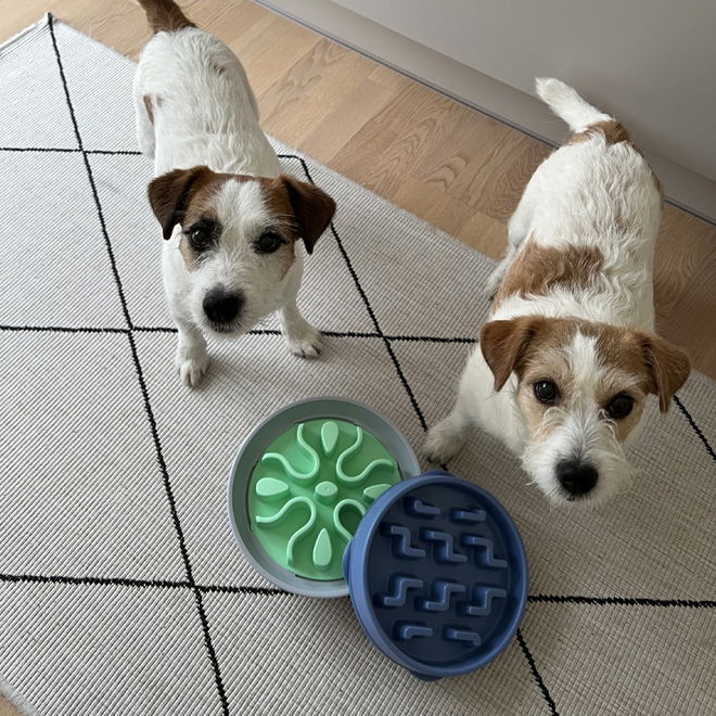 Slow feeder Outward Hound Wobble bowl