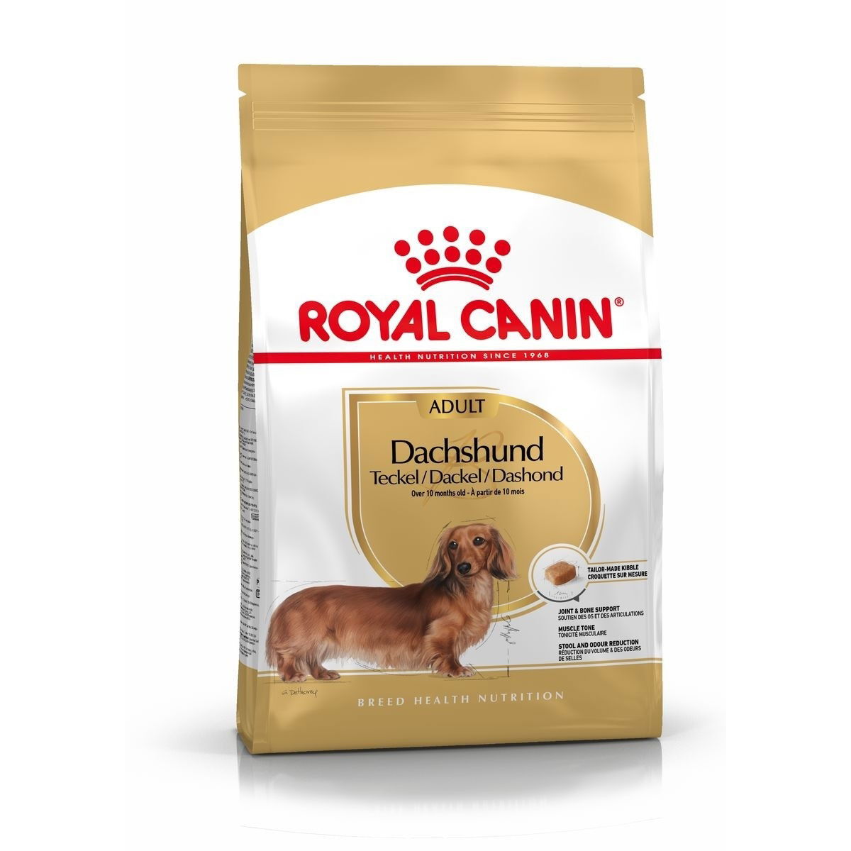 Royal Canin Dachshund Adult koiran kuivaruoka