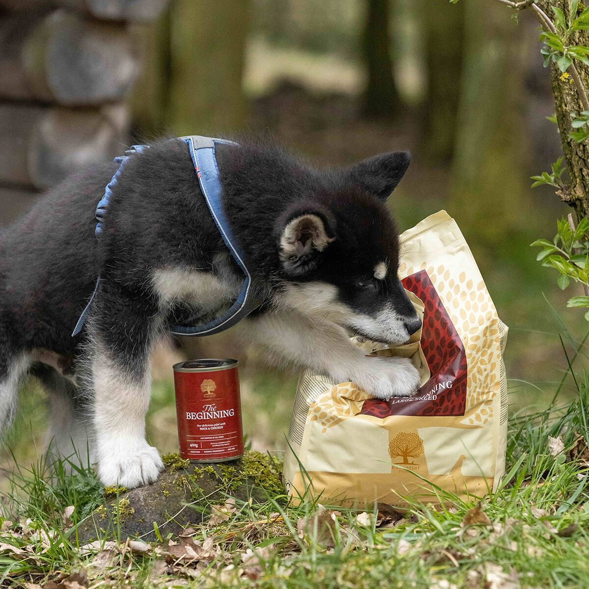 ESSENTIAL the BEGINNING PATÉ 400g