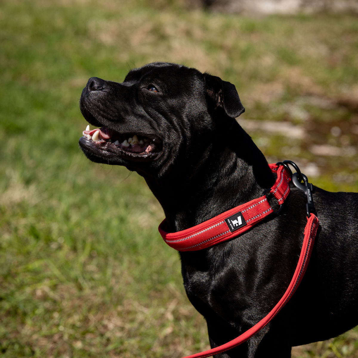 Feel Active Padded Slip puolikiristävä panta kirkas punainen