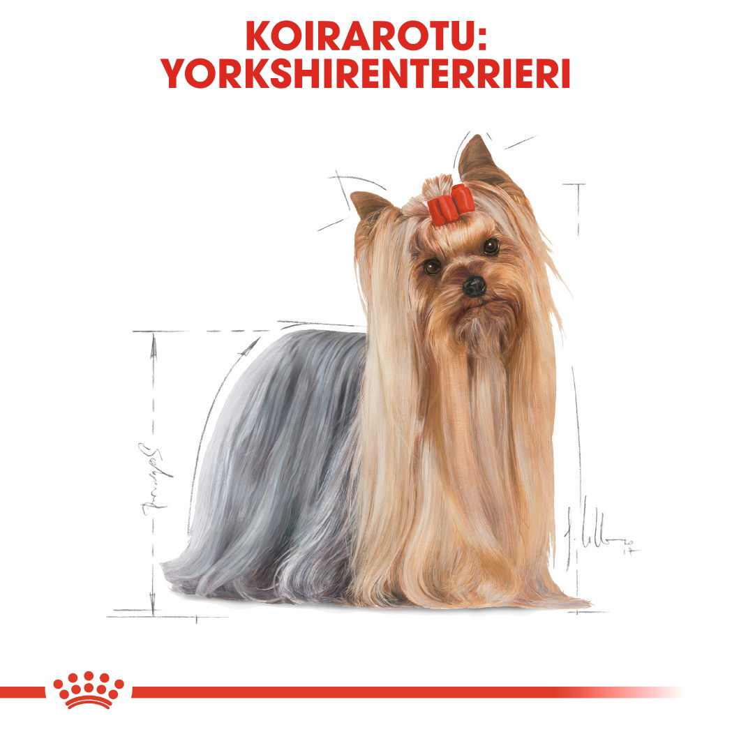Royal Canin Yorkshire Terrier Adult Loaf koiran märkäruoka