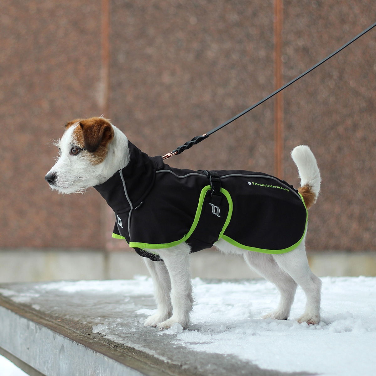 Back on Track Bark - koiran takki, limited edition