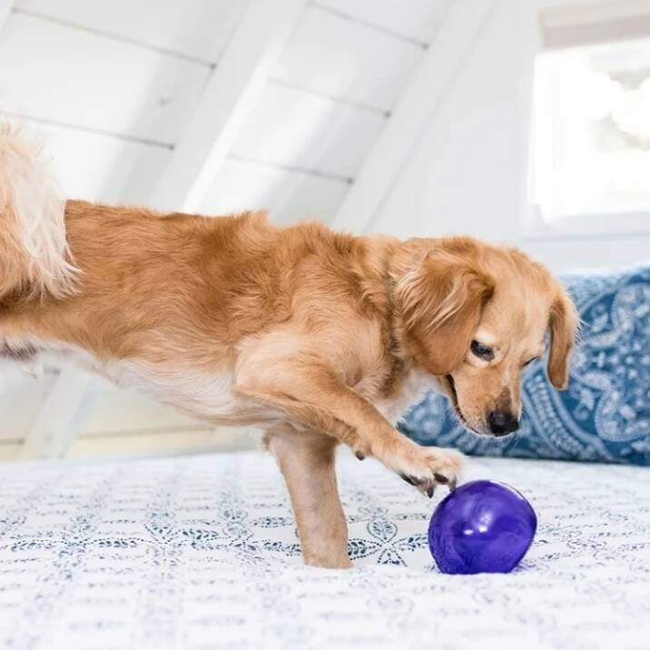 Nina Ottosson Outward Hound Lil Snoop lila