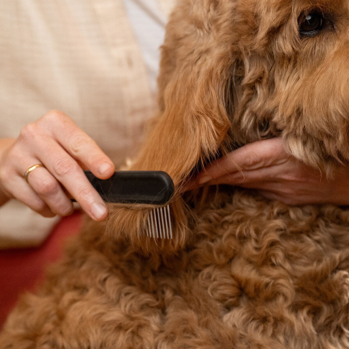 Fiskars harvapiikkinen kampa