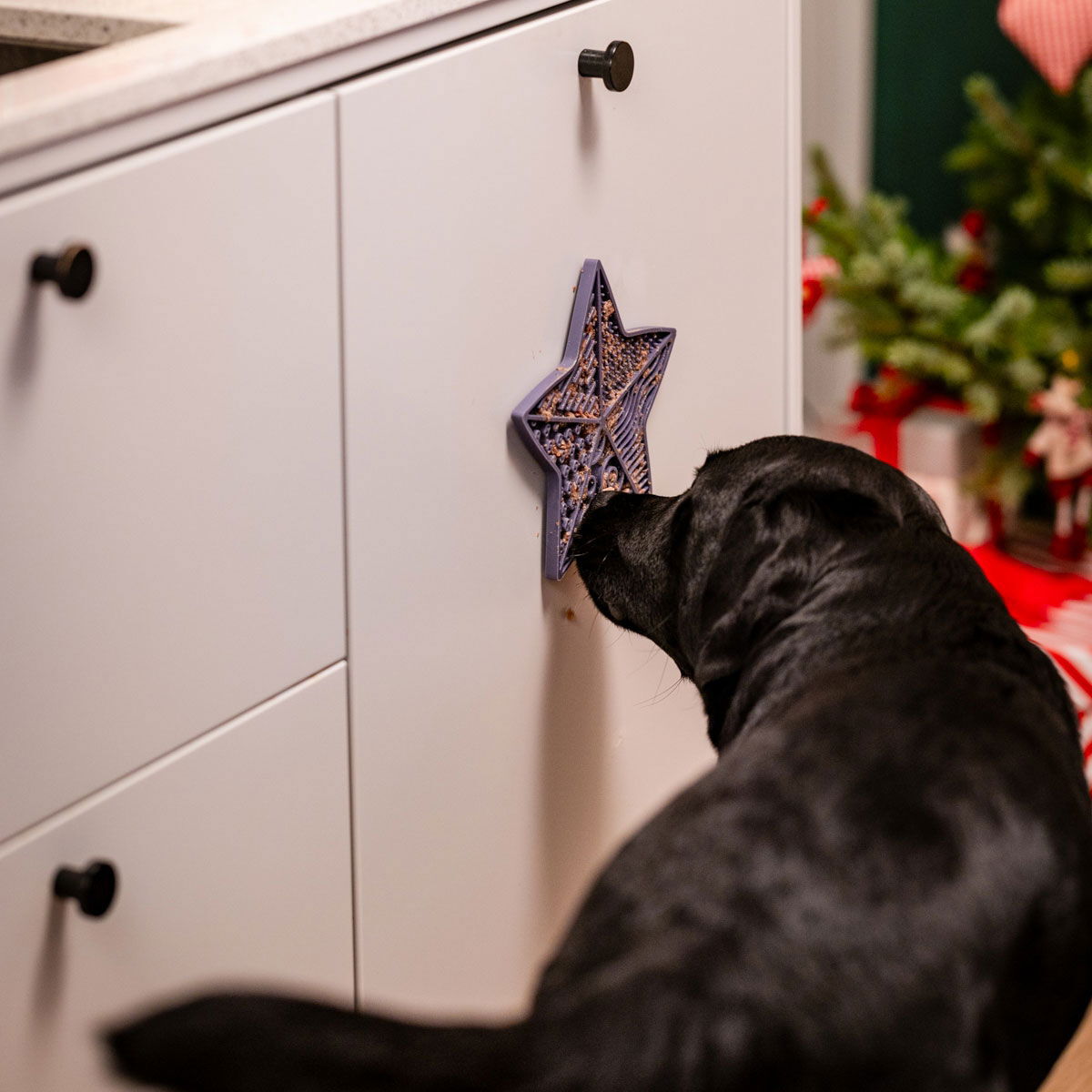 Little&Bigger nuolumatto tähti