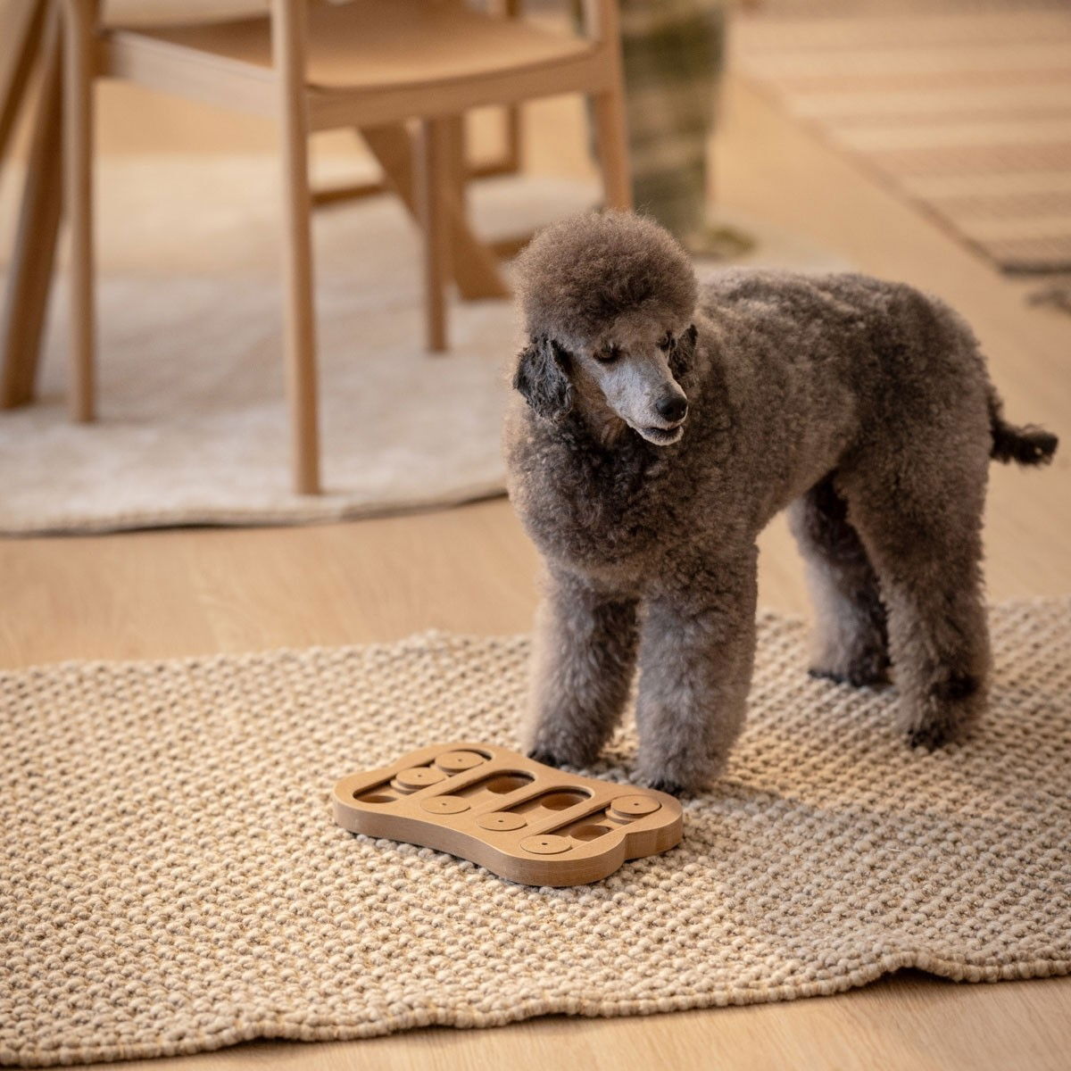 Little&Bigger Seek-a-Treat Shuffle Bone peli