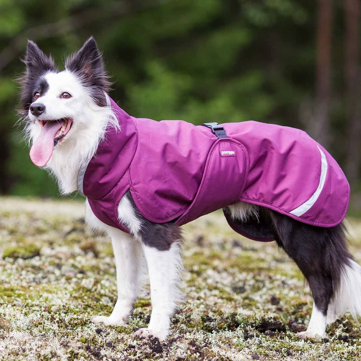 PerusPomppa koiran takki, luumu