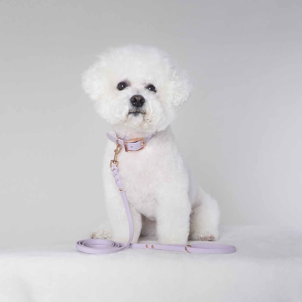 Tyylivoitto Braid hihna laventeli/ruusukulta