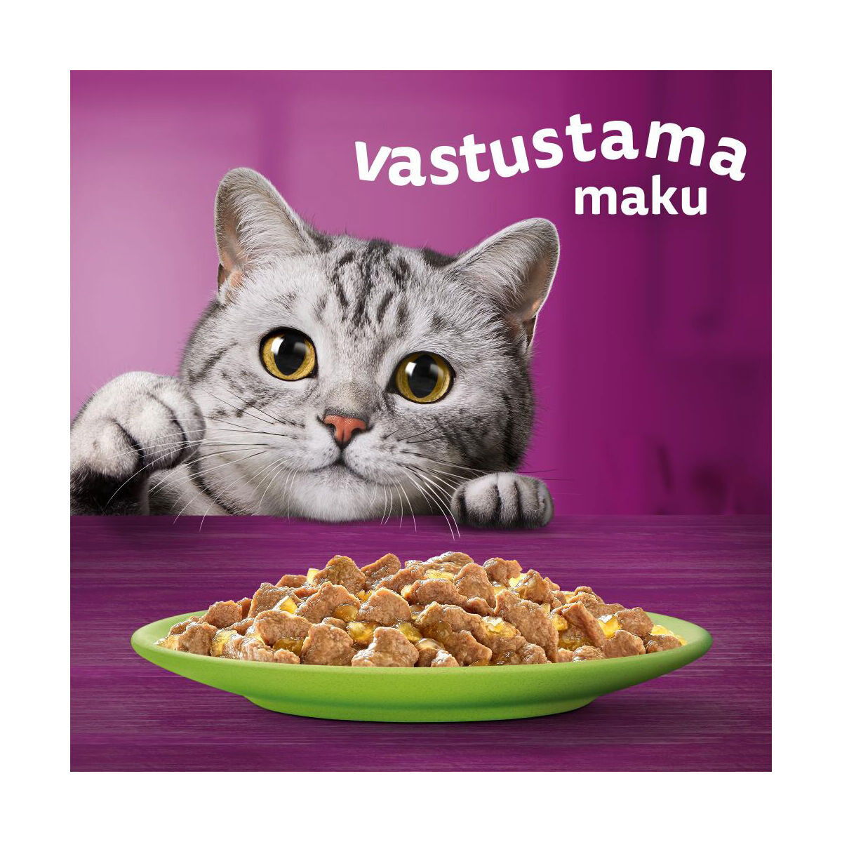 Whiskas 1+ jelly 40x85g