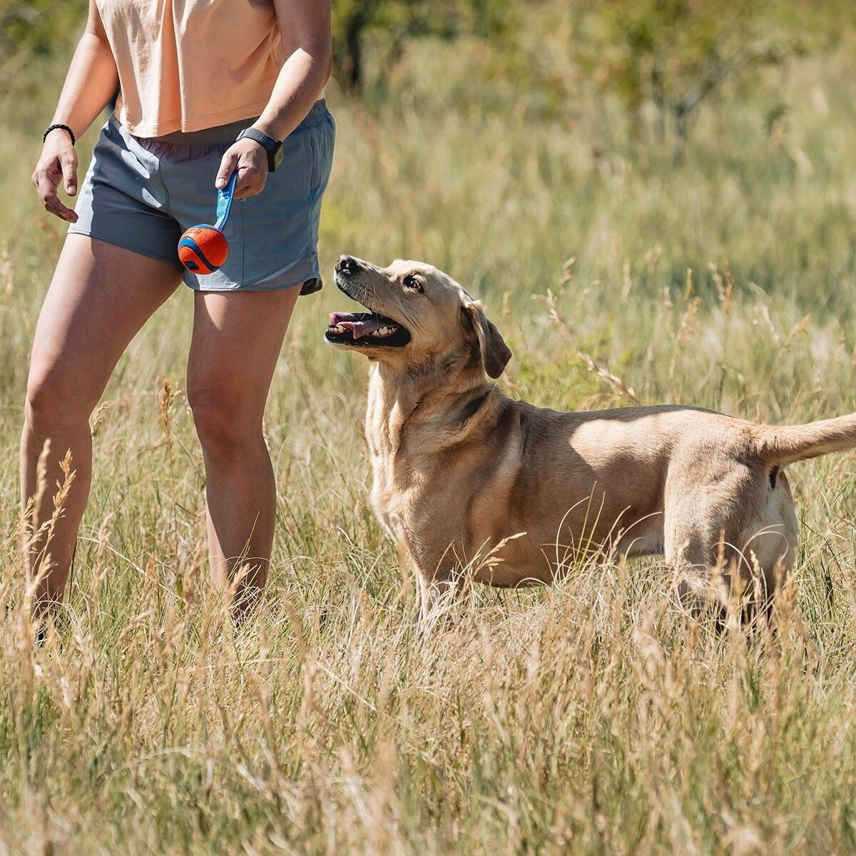 Chuckit Ultra Tug -vetolelu