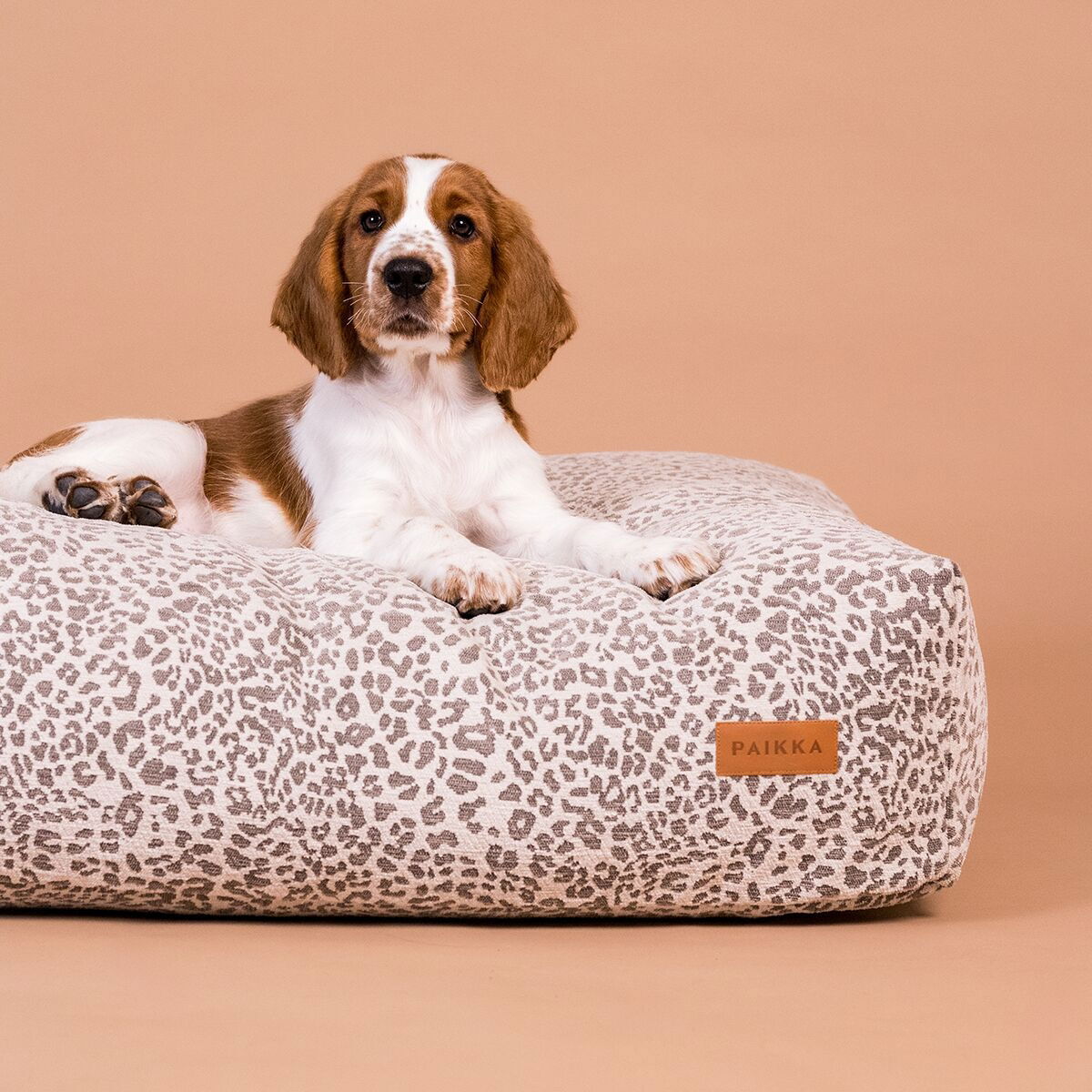 Dog matress PAIKKA Stone leo 