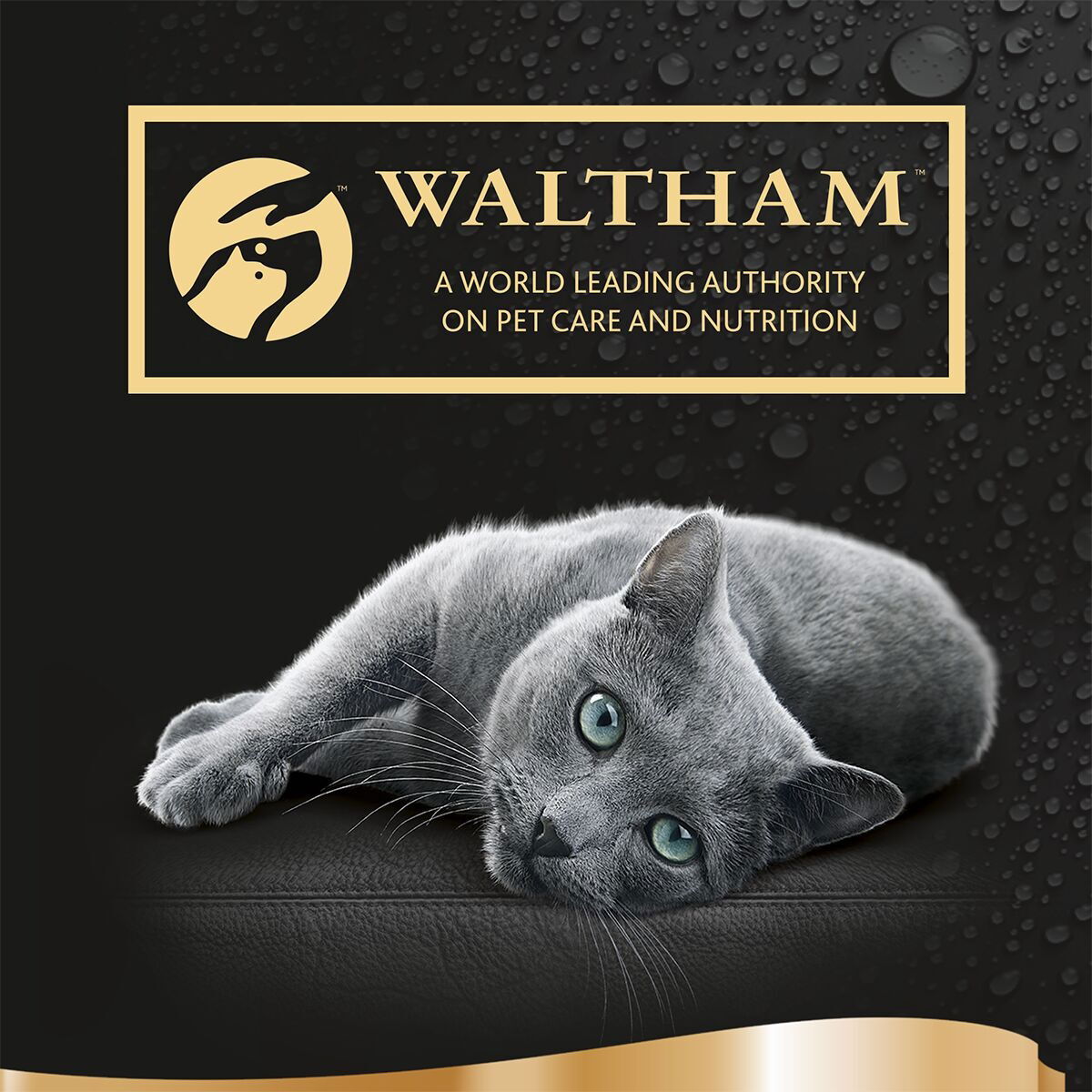 Sheba Creamy Snack Salmon 4x12g