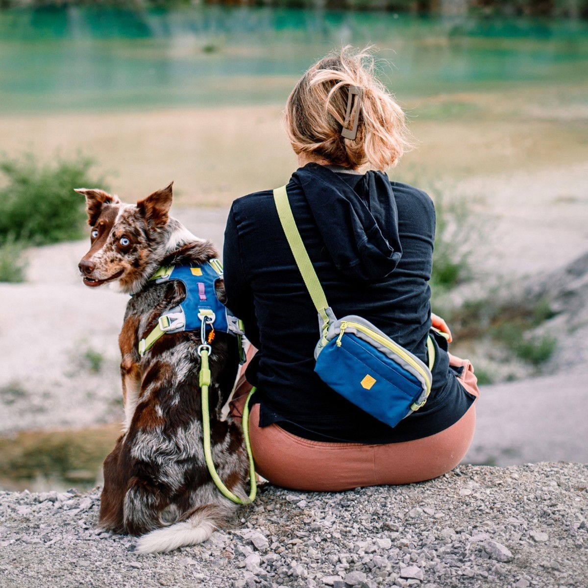 Woolly Wolf Alpha 360 Harness Deep Teal Mix