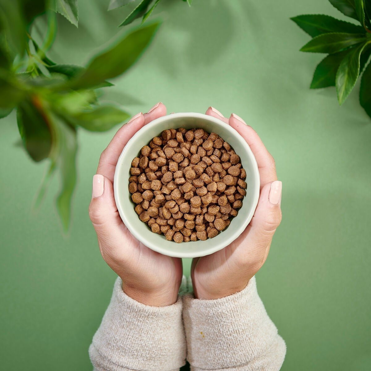 PN Cat Kitten GF Chicken & Turkey