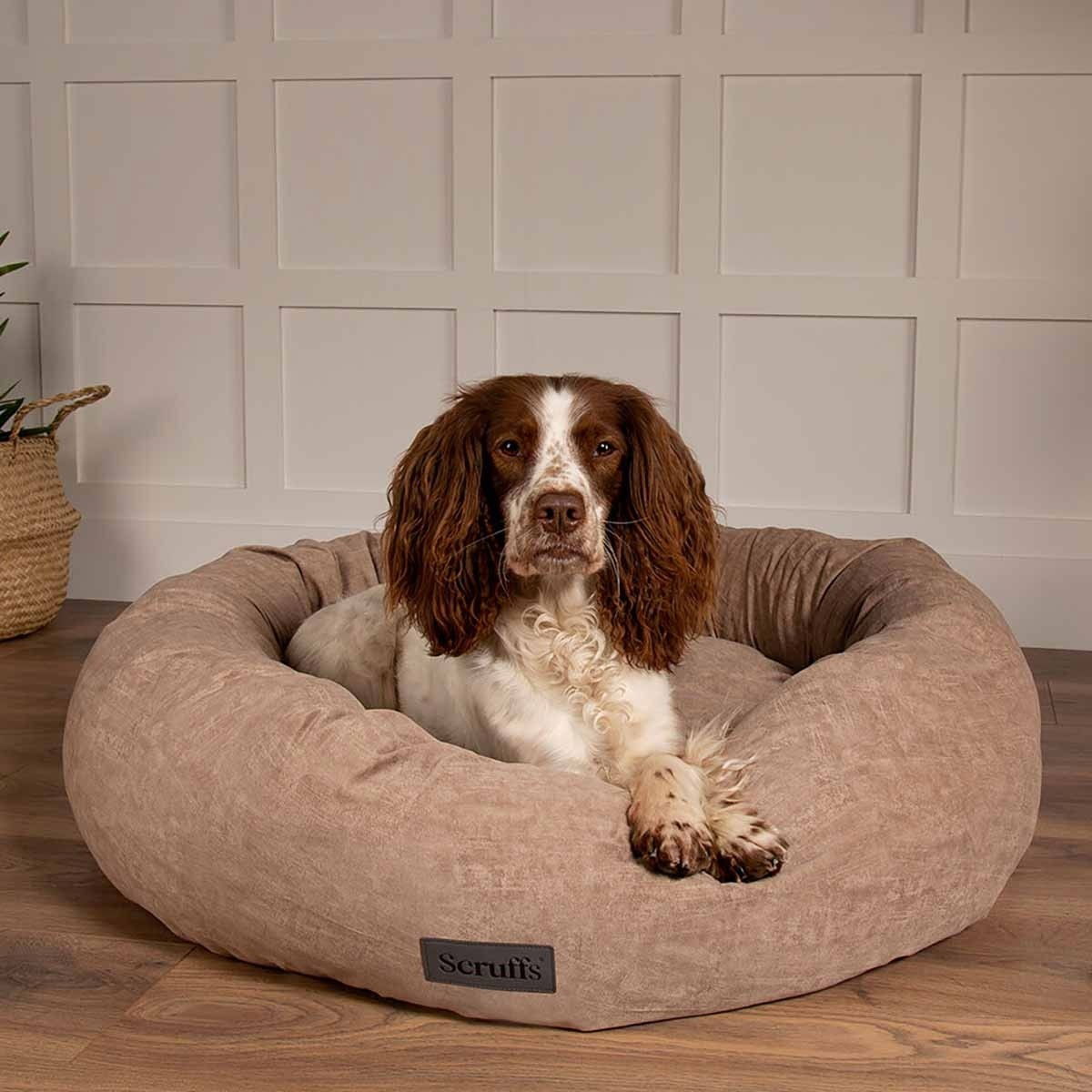 Scruffs Oslo donitsipeti beige