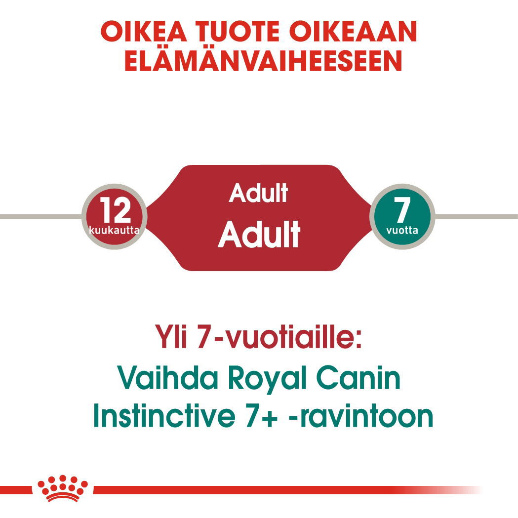 Royal Canin Instinctive Jelly Adult kissan märkäruoka 