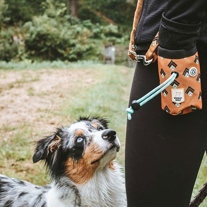 Woolly Wolf Snack Bag, Sea to Summit