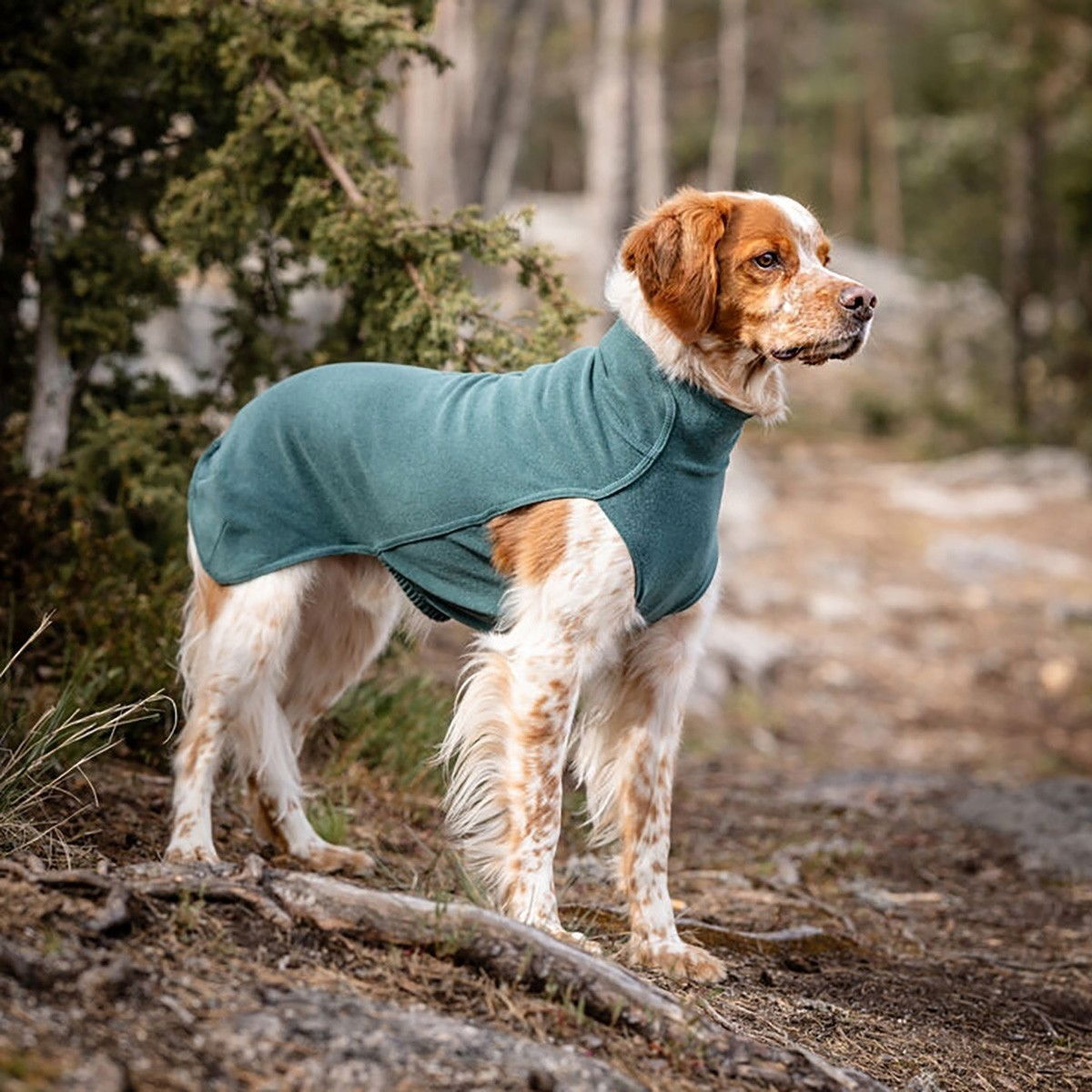 Feel Active Halla paita petrooli