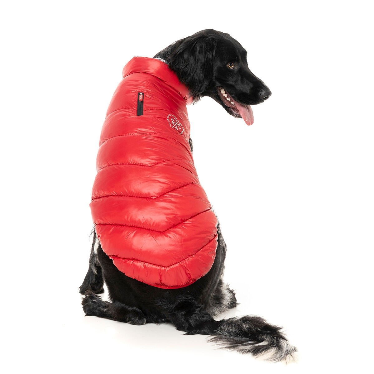 FuzzYard jacket Hakuba, red