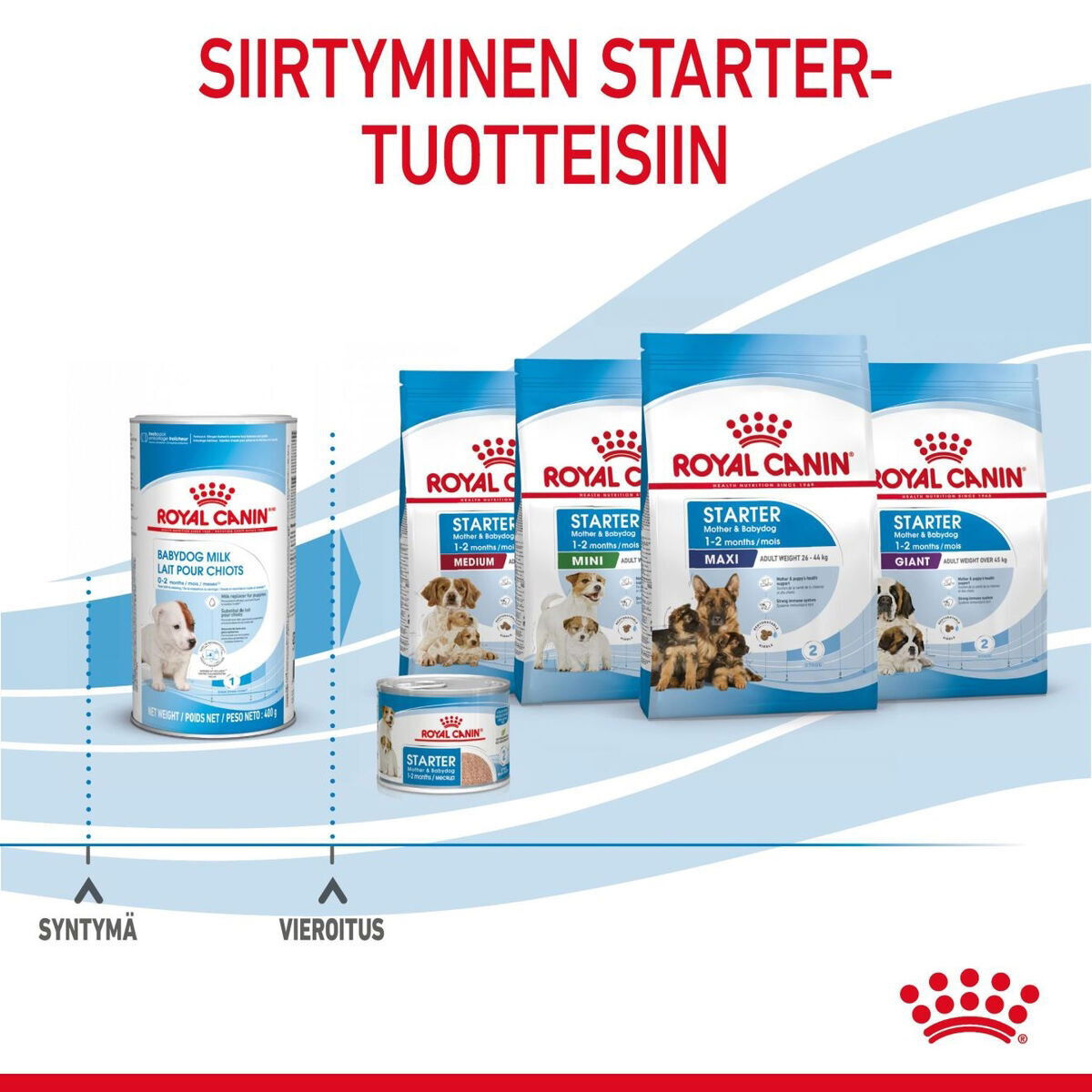 Royal Canin Babydog Milk emonmaidonvastike koiranpennuille