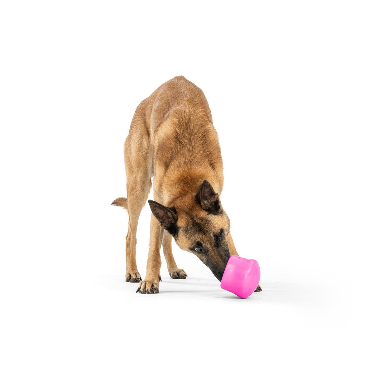 West Paw Toppl Limited Edition aktivointilelu pinkki