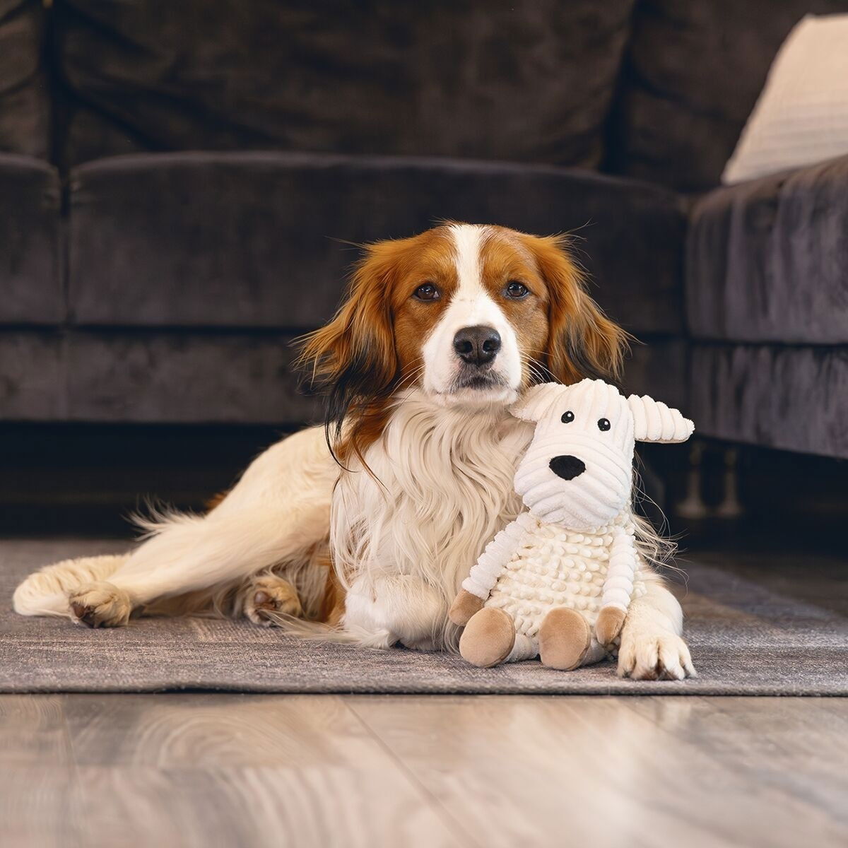 Beeztees Eco Dog Onne