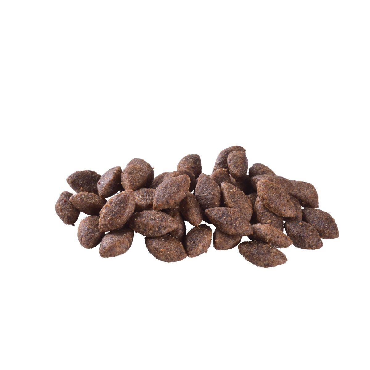 Brit Care Dog Sustainable Activity