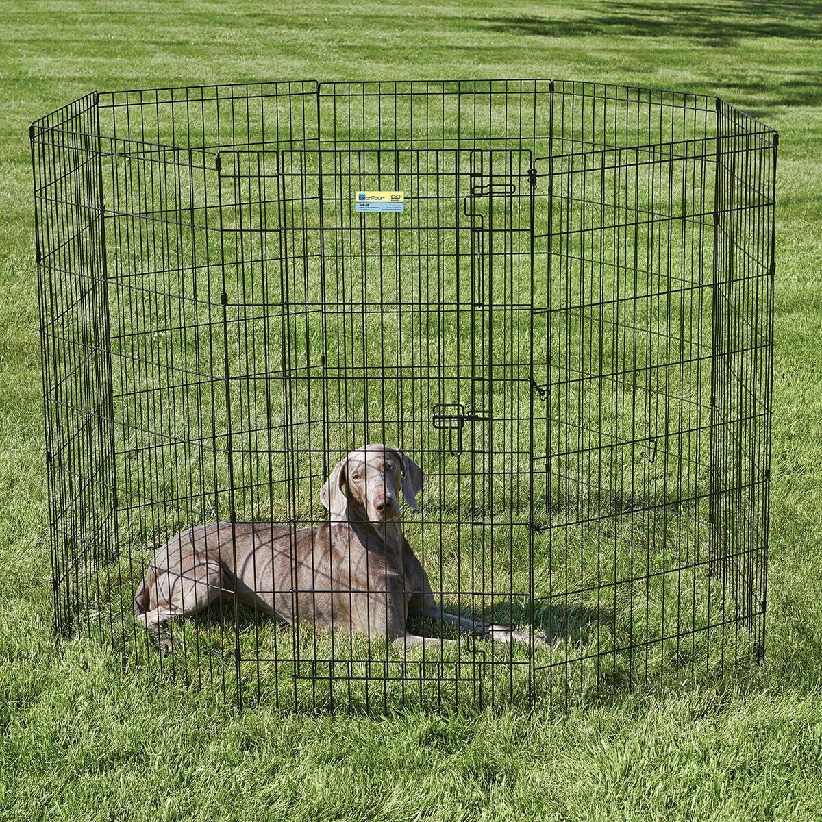 Midwest Contour Black Exercise Pen