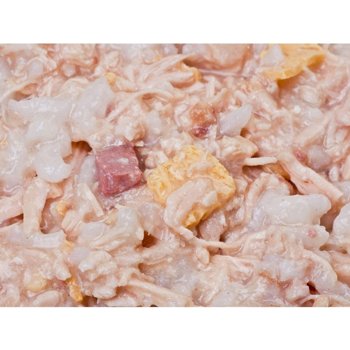 Feline Porta 21 Kitten kana ja riisi  