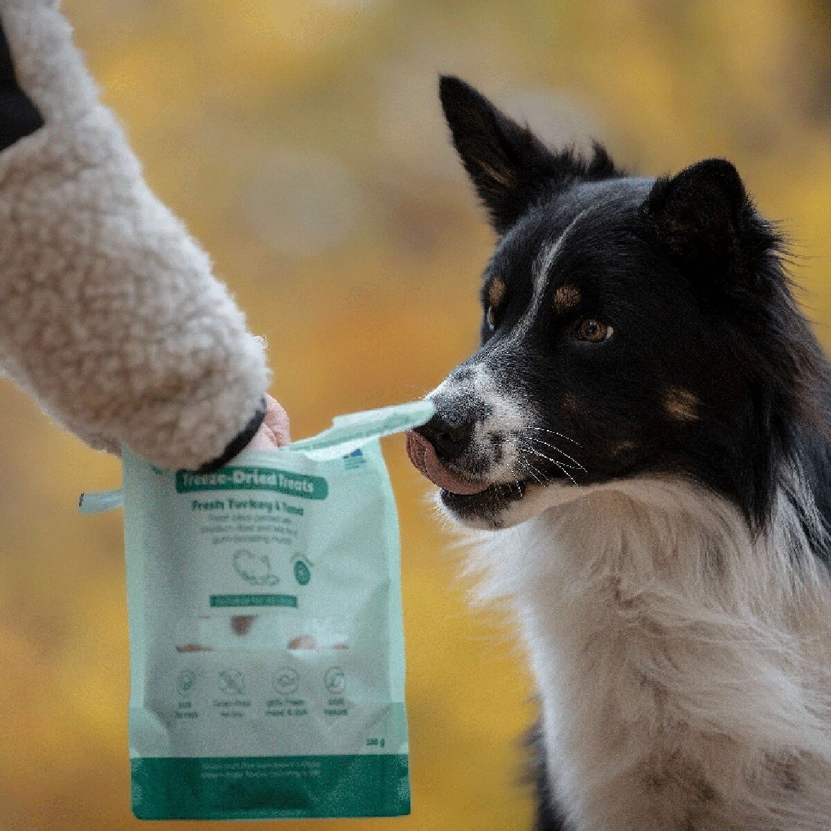 Buddy Freeze-dried Turkey&Tuna 100g