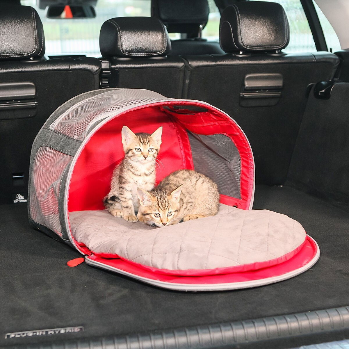 KONG 2-In-1 Pet Carrier&Trvl Mat