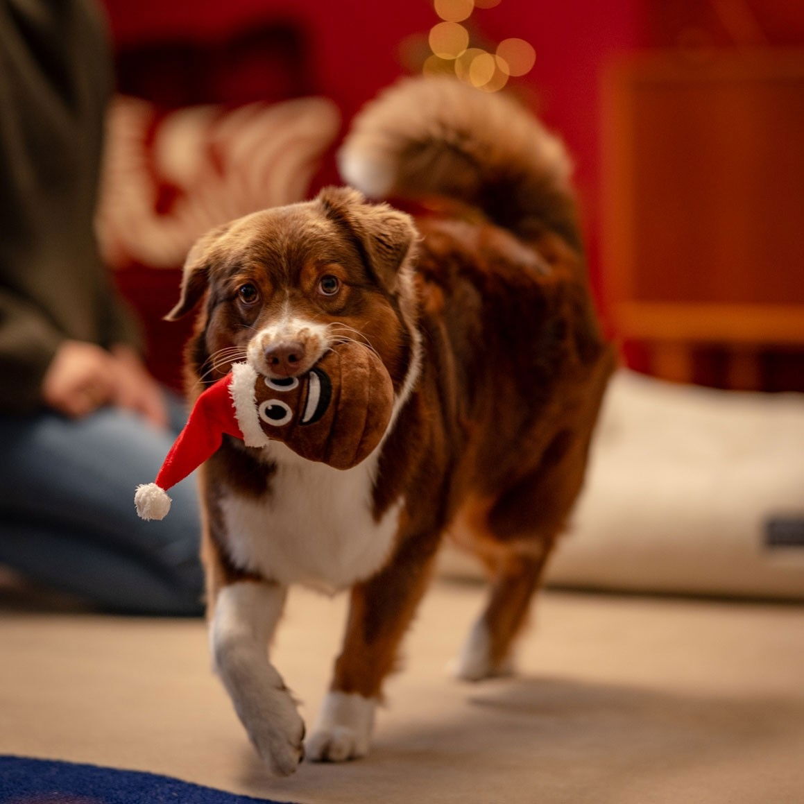 Little&Bigger Seasons Classics Xmas-kakka