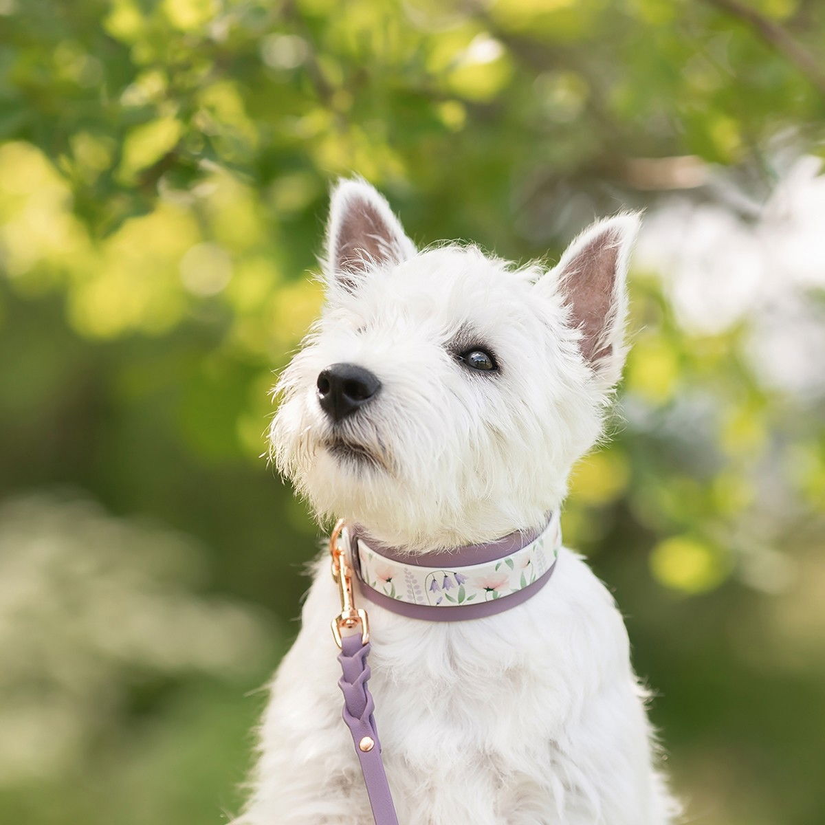 Tyylivoitto collar extender, mauve