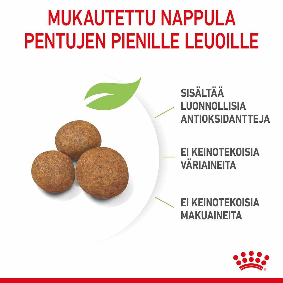 Royal Canin Giant Puppy koiranpennun kuivaruoka