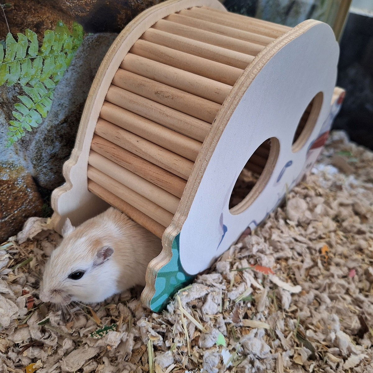 Duvoplus Jyrsijän mökki, pääkallo