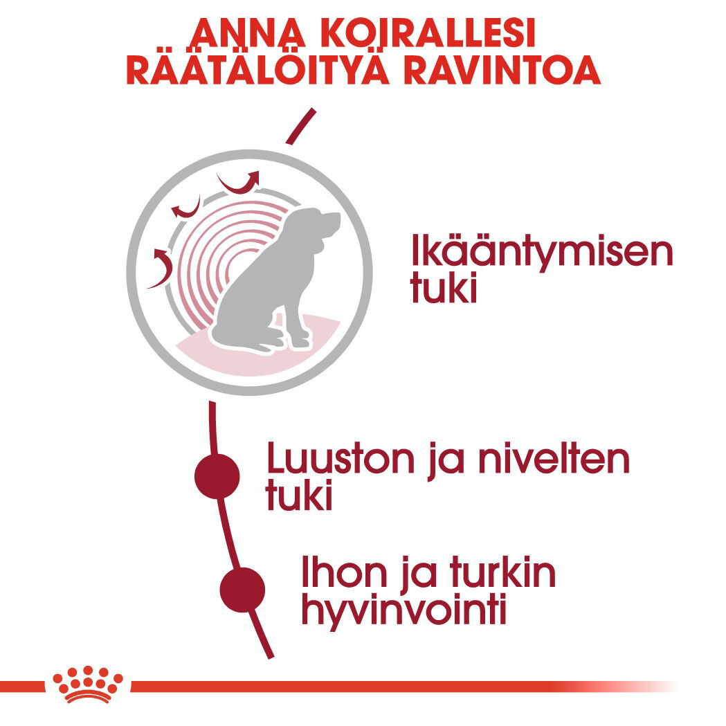 Royal Canin Medium Ageing 10+ koiran kuivaruoka
