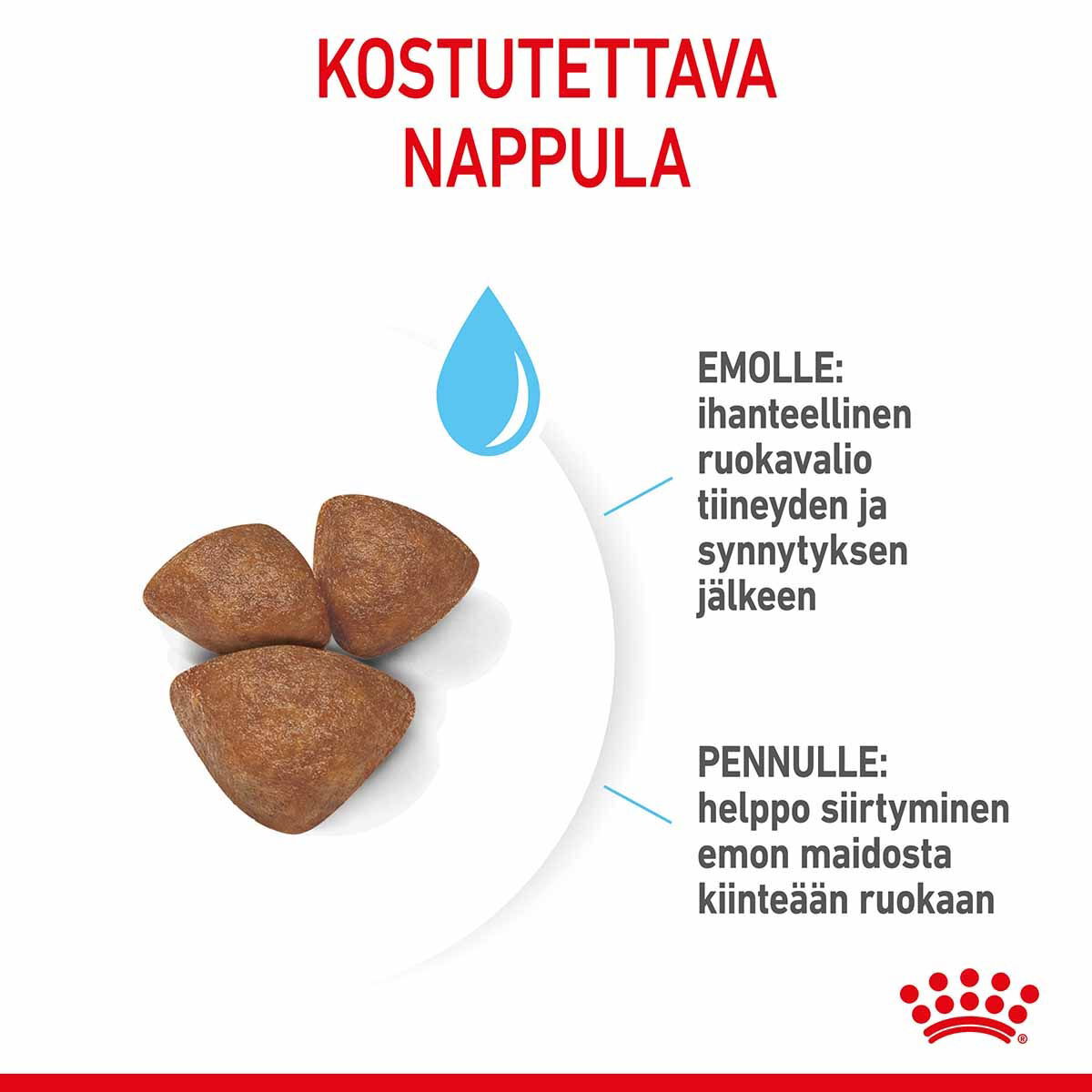 Royal Canin Mini Starter