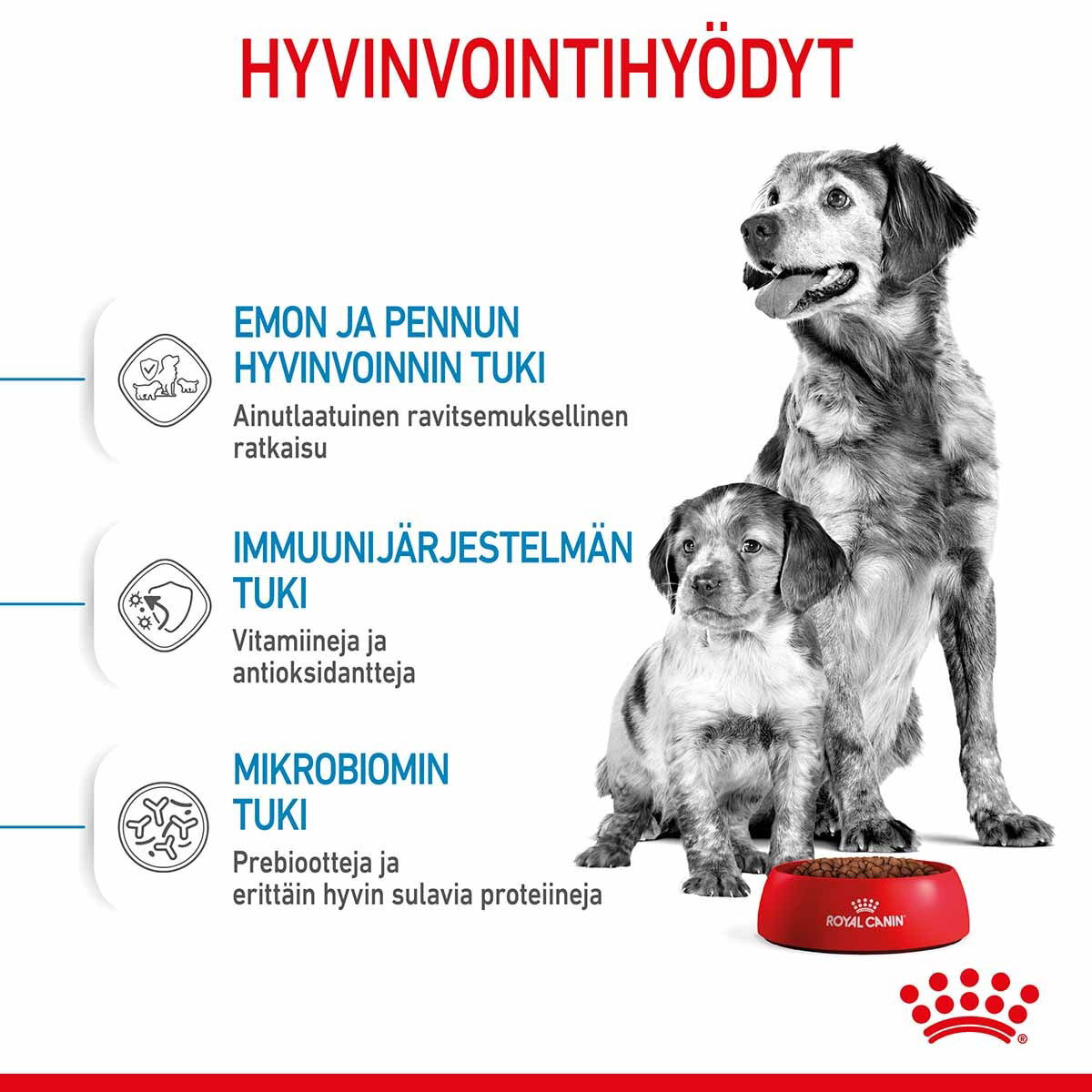 Royal Canin Medium Starterkoiran ja koiranpennun kuivaruoka
