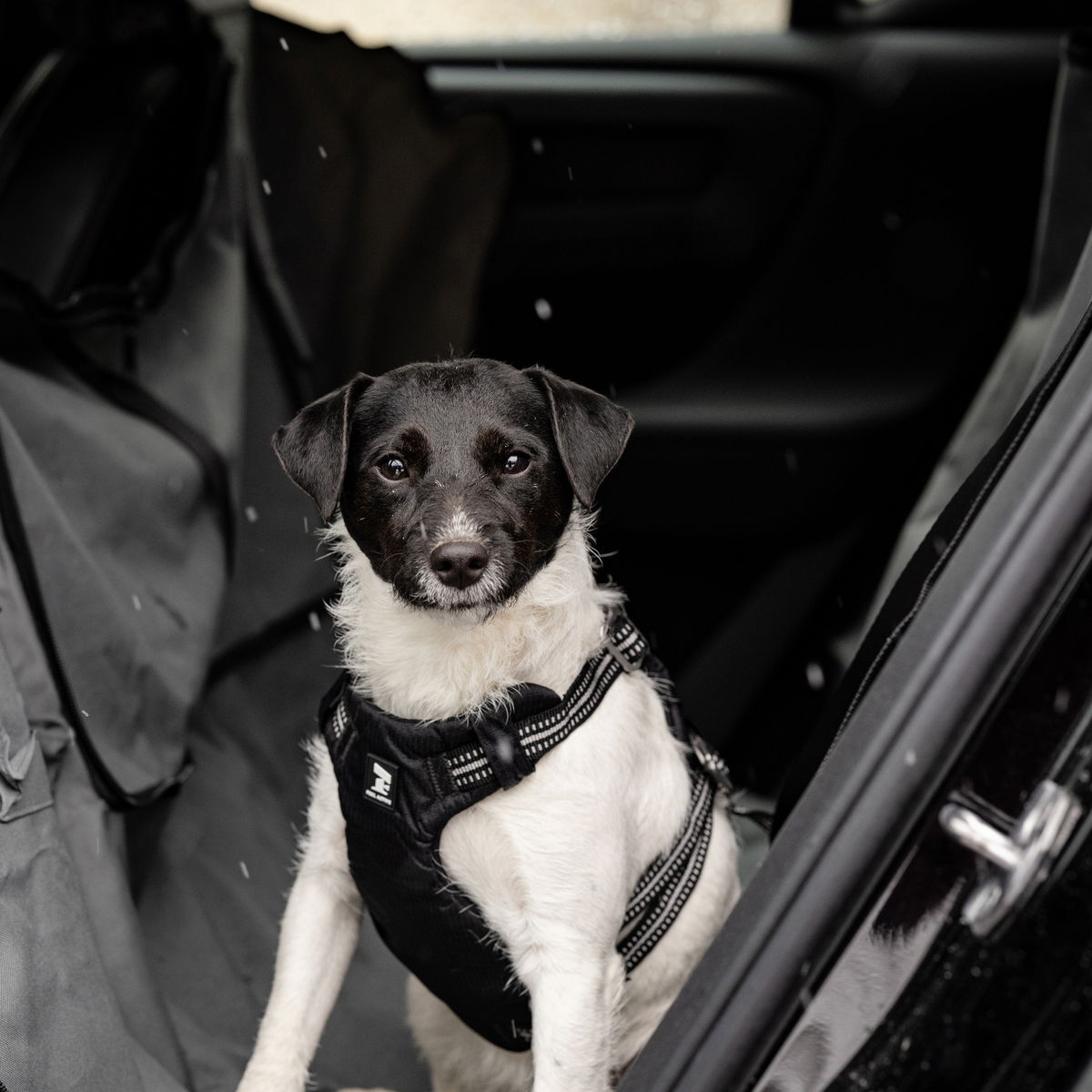 Feel Active autovaljas black