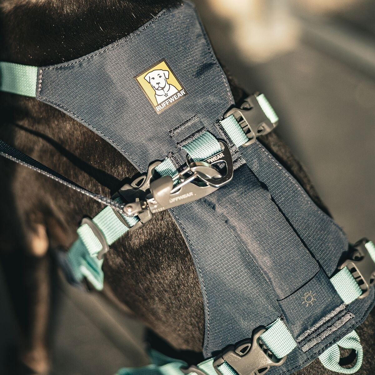 Ruffwear Flagline Harness Basalt Gray