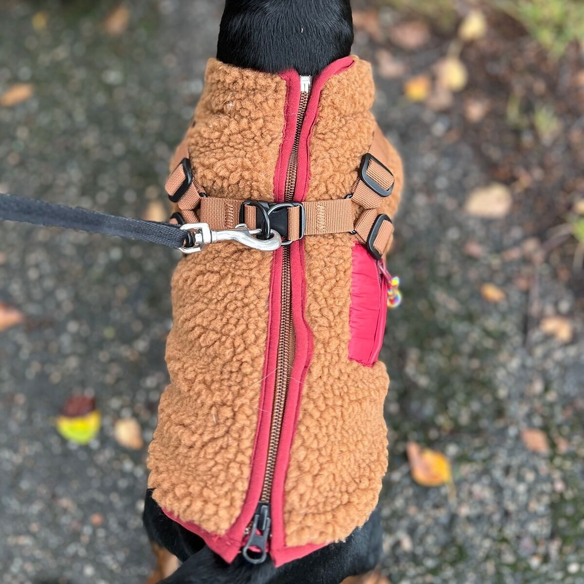 51 Degrees North Jules Harness Coat, brown