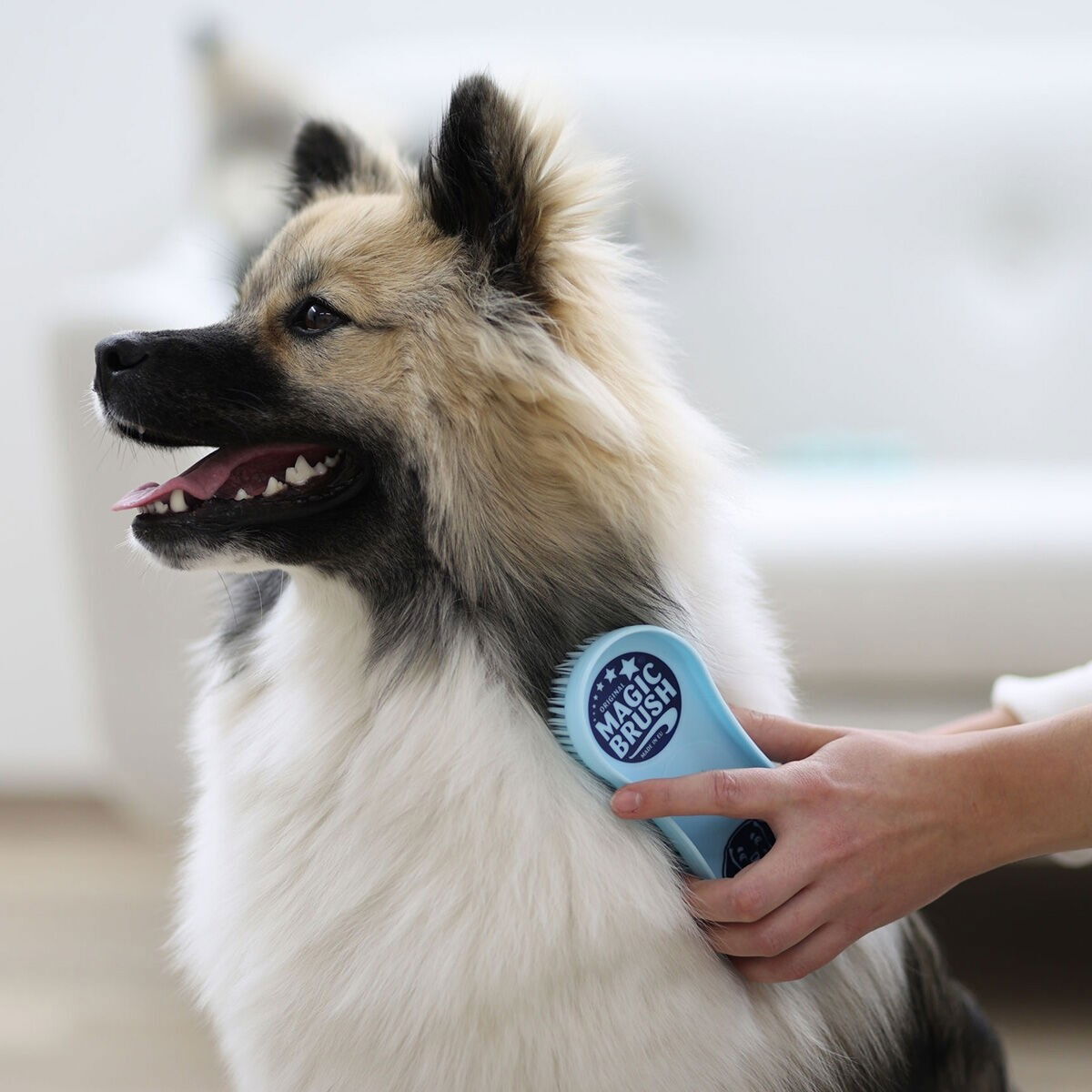 MagicBrush Dog Soft sandstorm