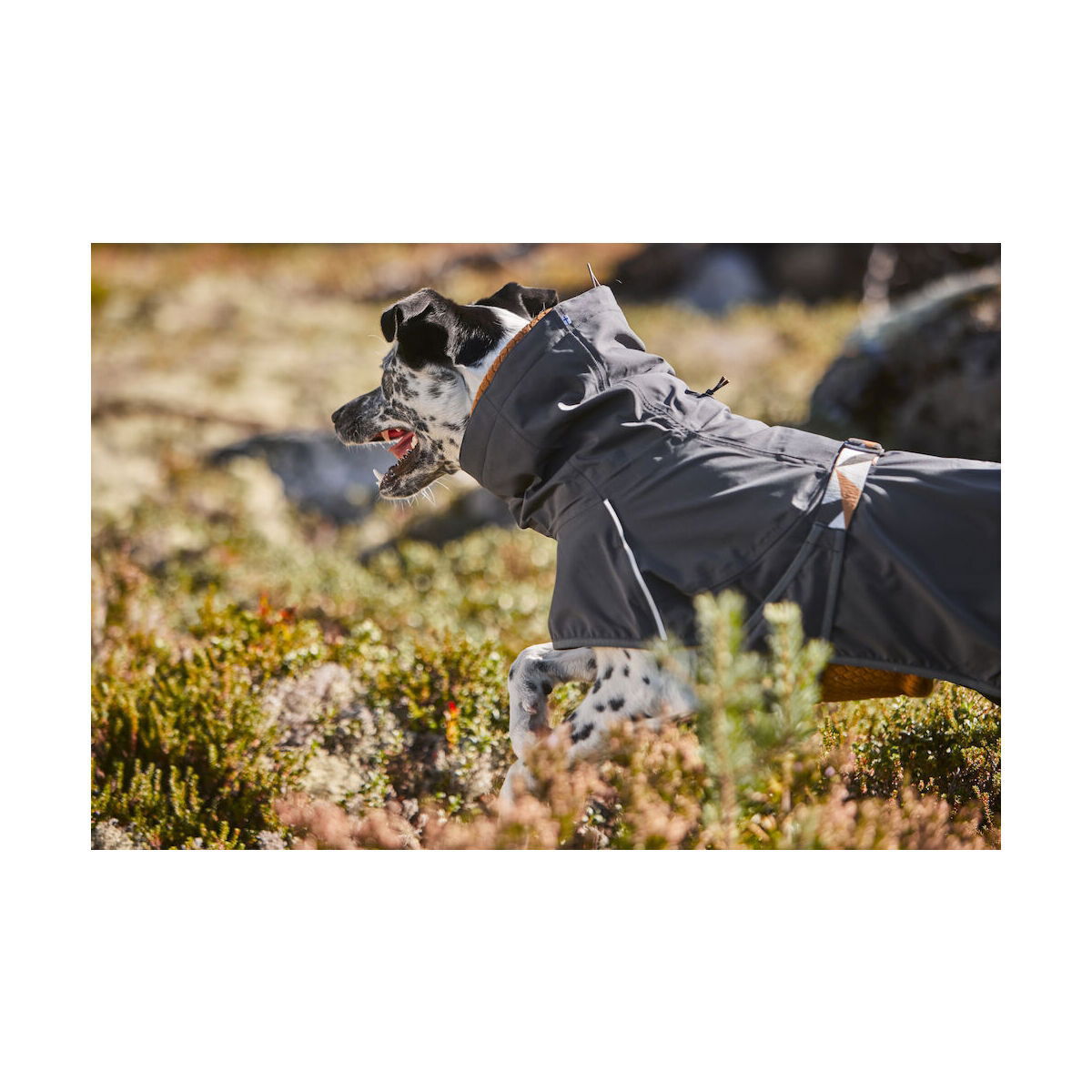 Hurtta Mudventure ECO sadetakki harmaa